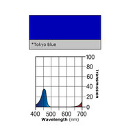 LEE BLUE TOKYO 60x50cm 071