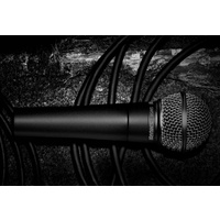 Microphone Dynamic Lo Z Vocal Cardioid SM58